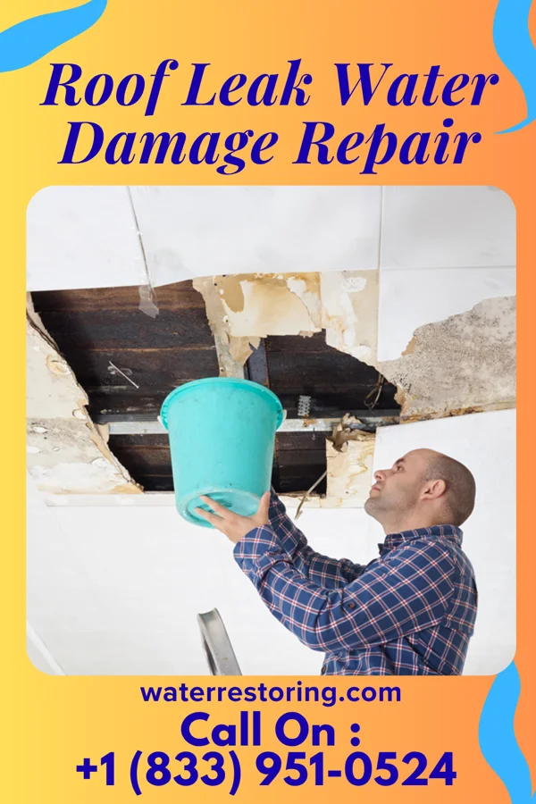 Roof Leak Water Damage Repair in Fromberg, MT